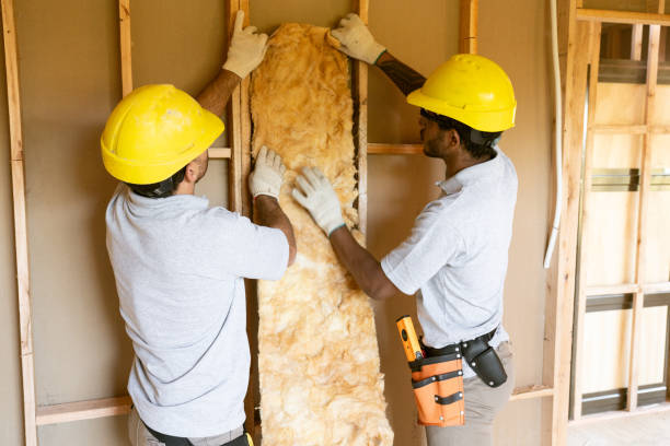 Best Blown-in Insulation  in Iowa City, IA