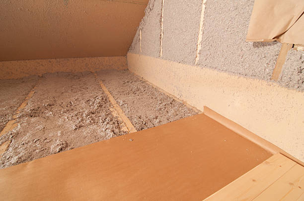 Best Crawl Space Insulation  in Iowa City, IA