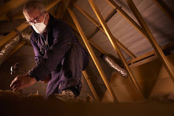 Best Home Insulation Services  in Iowa City, IA