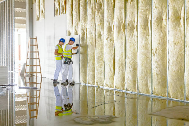 Best Spray Foam Insulation  in Iowa City, IA